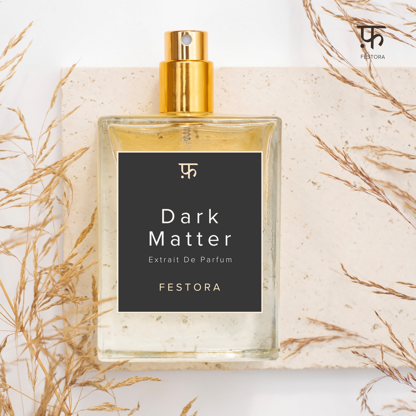 Dark Matter (Confident, Woody, Spicy, Leathery, Masculine) (TRUE INSP- BULGARI Man in Black)